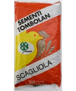 SCAGLIOLA  IN SEMI  - BECCHIME PER UCCELLI - 1 KG